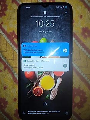 vivo Y20g