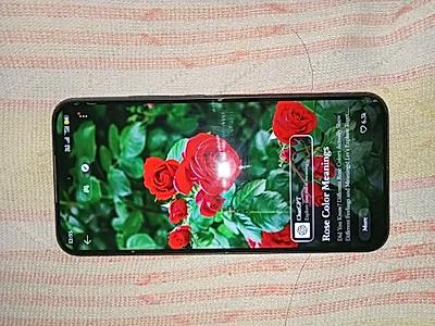 Oppo F31 Pro