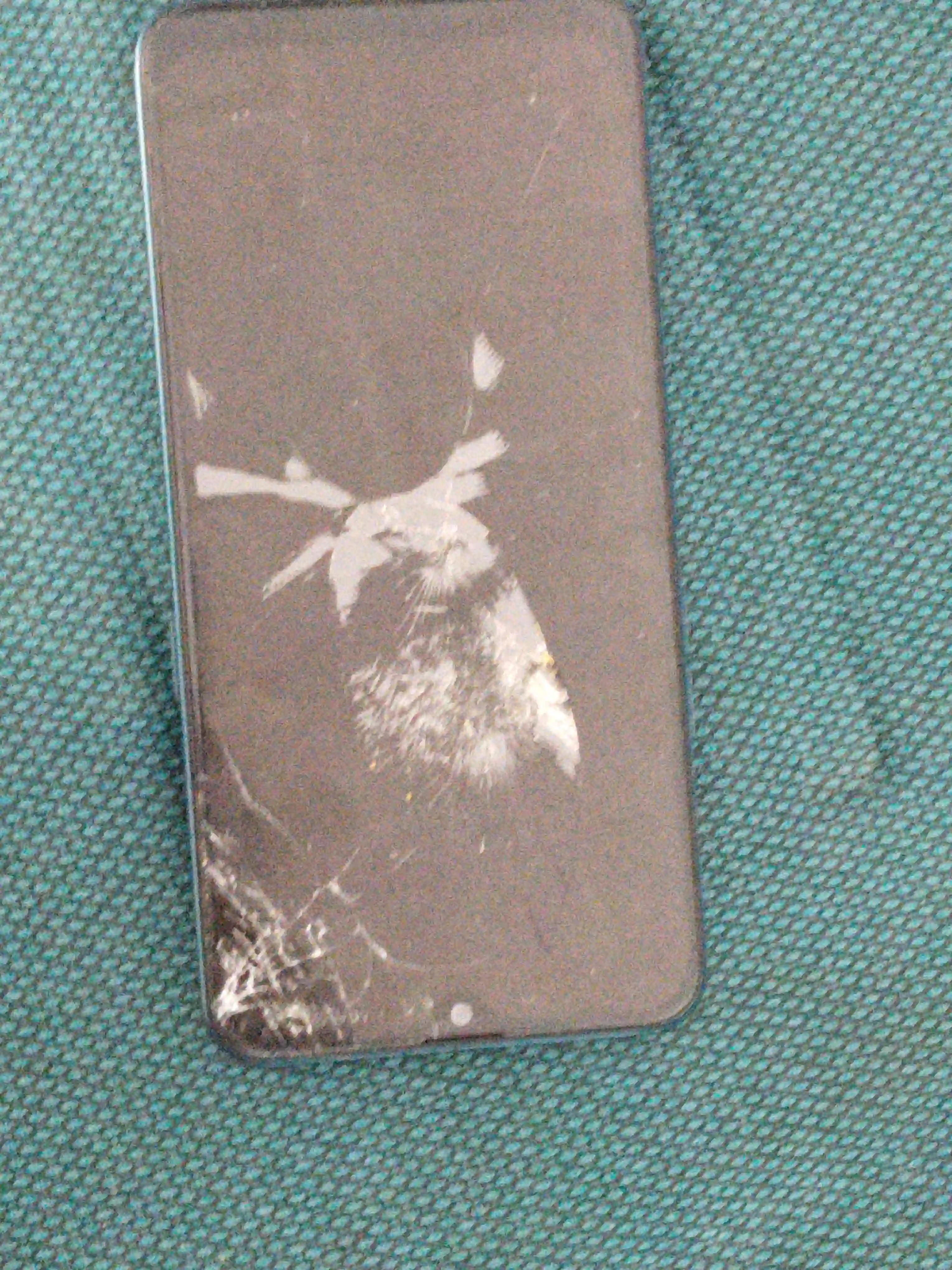 Product Image 0