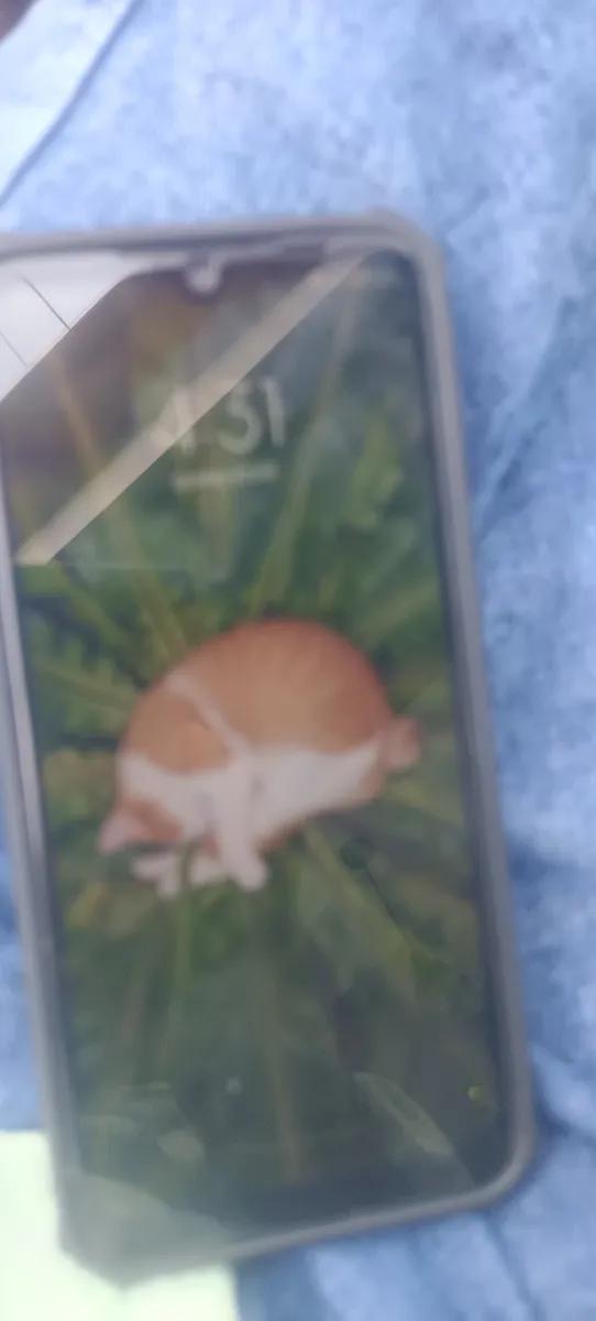 Product Image 0
