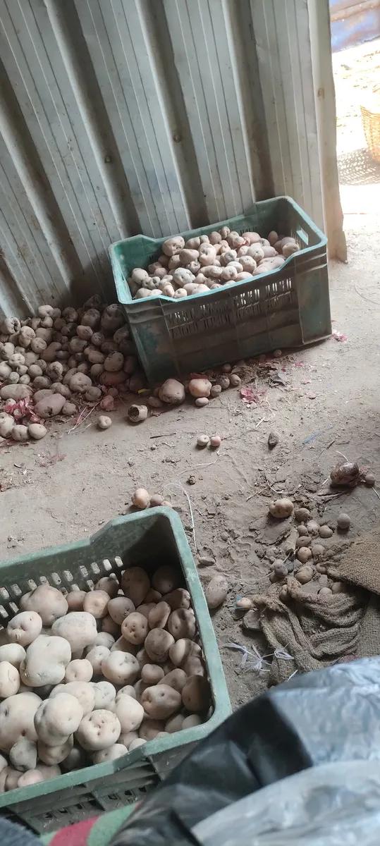Product Full 0