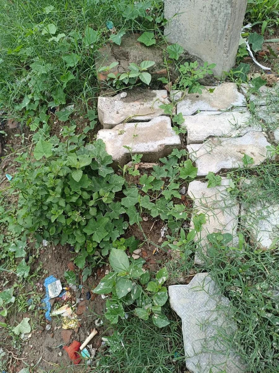 Product Full 0