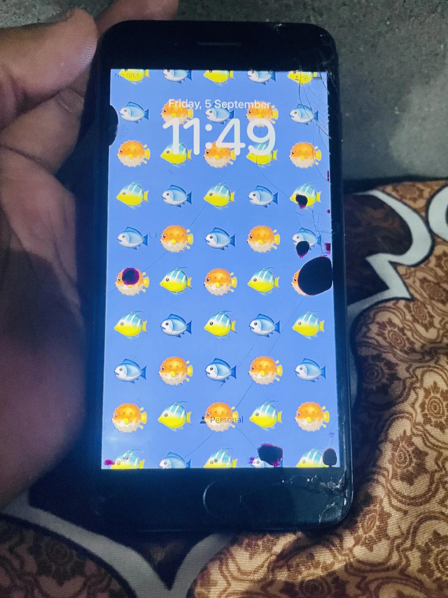 Product Full 1