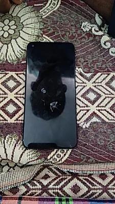 Oppo A76