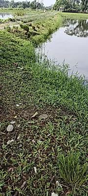 Infinix GT 30 Pro