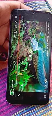 Samsung Galaxy F14