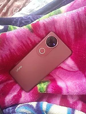 vivo V50