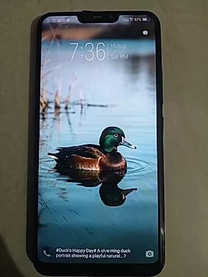 vivo Y81