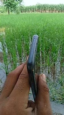 Realme Narzo 50 Pro