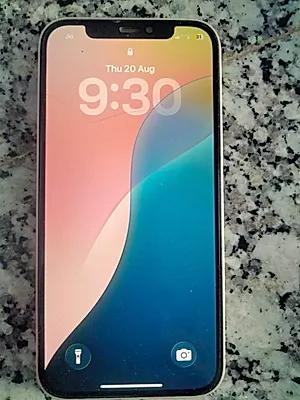 Apple iPhone 12