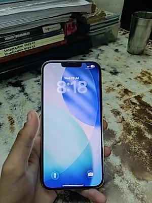 Apple iPhone 13 Pro Max