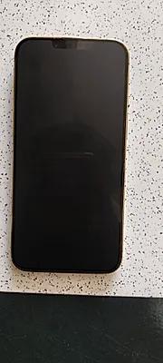 Apple iPhone 13 Pro
