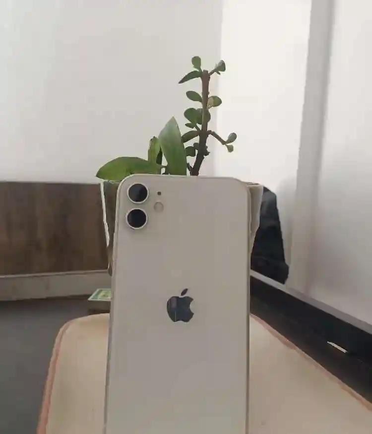 Product Image 0