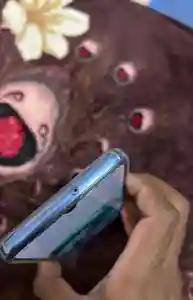 Thumbnail 0