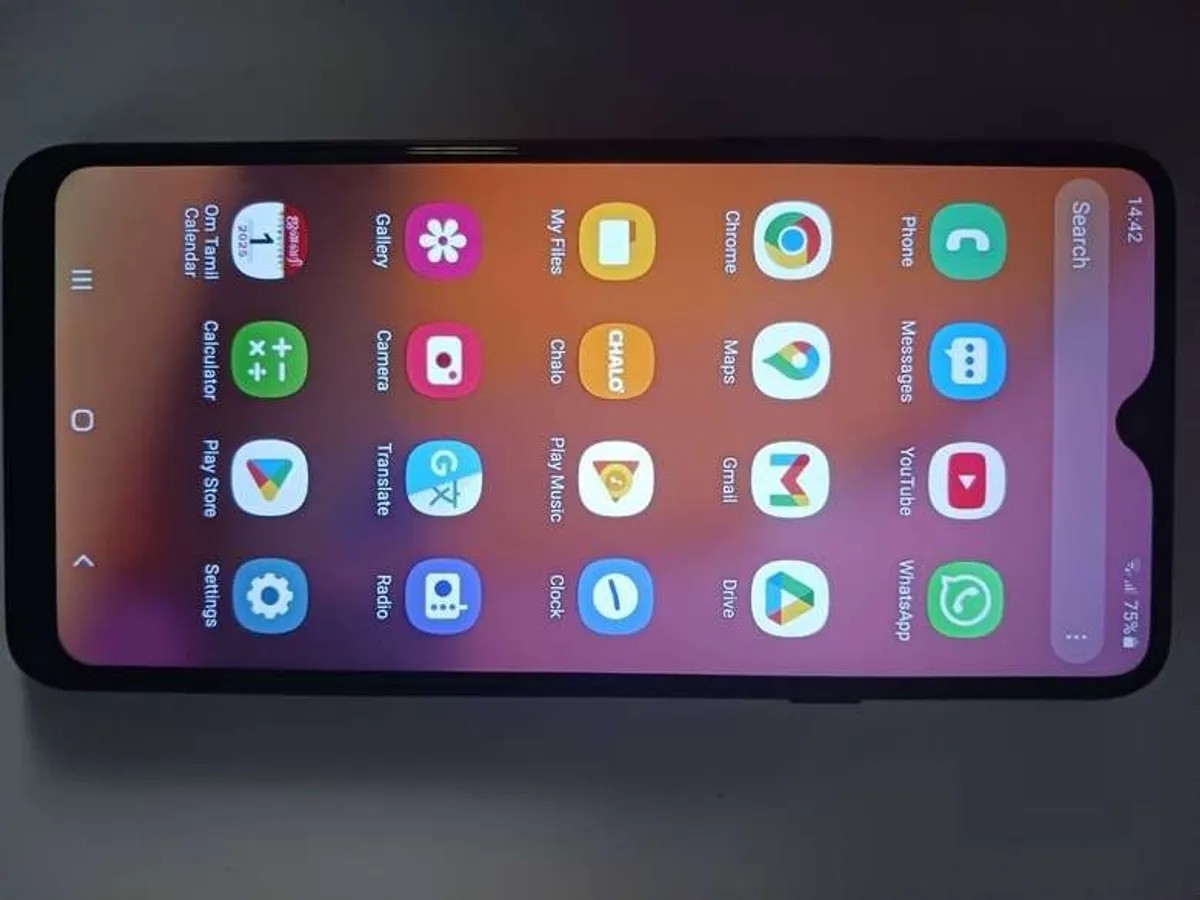 Samsung Galaxy A20s