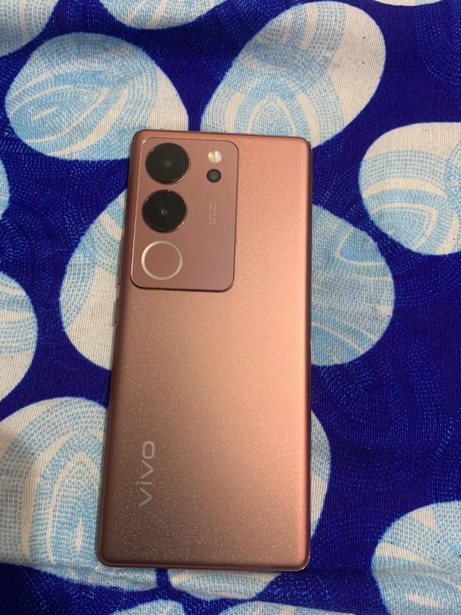 vivo V29