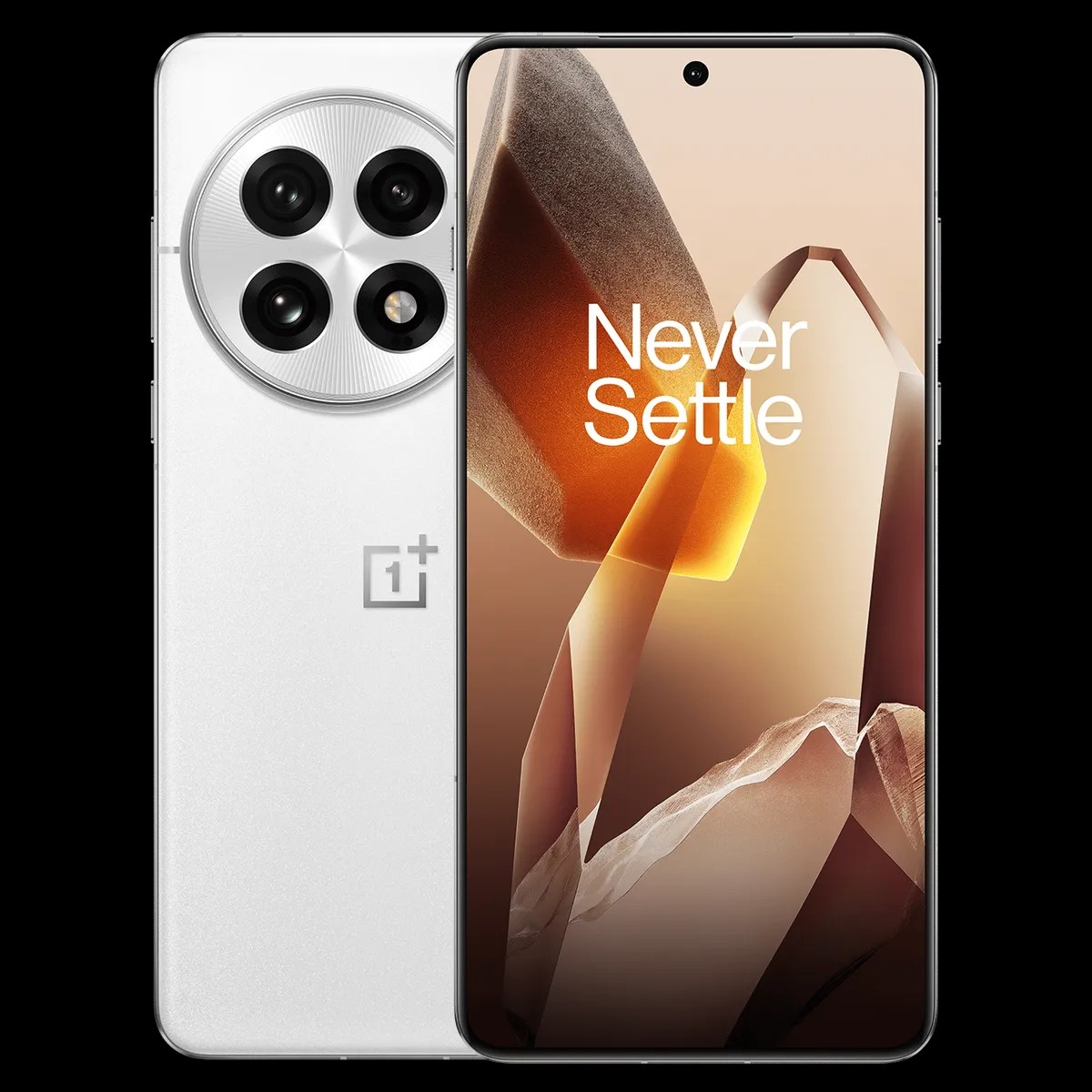 OnePlus 13
