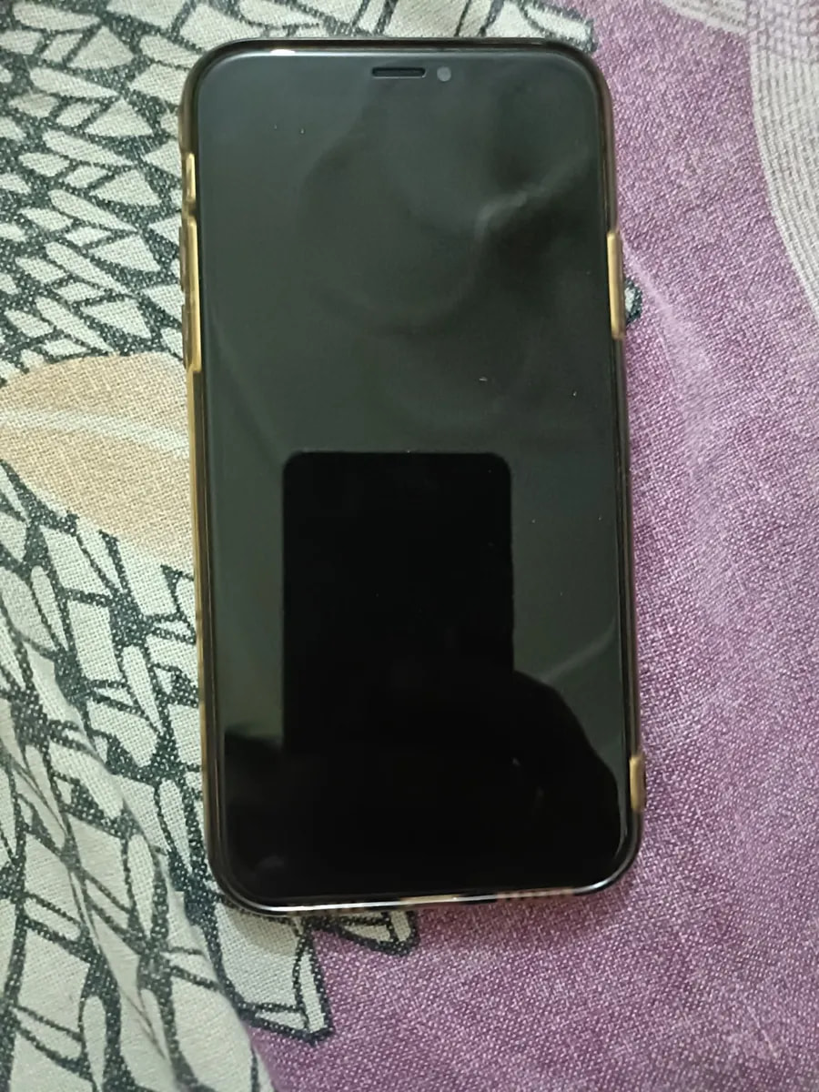 Apple iPhone X