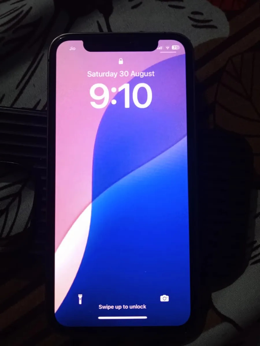 Apple iPhone X