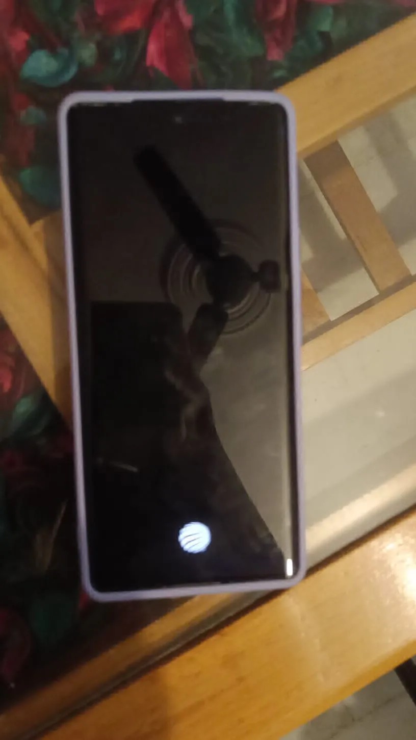 vivo V29 Pro