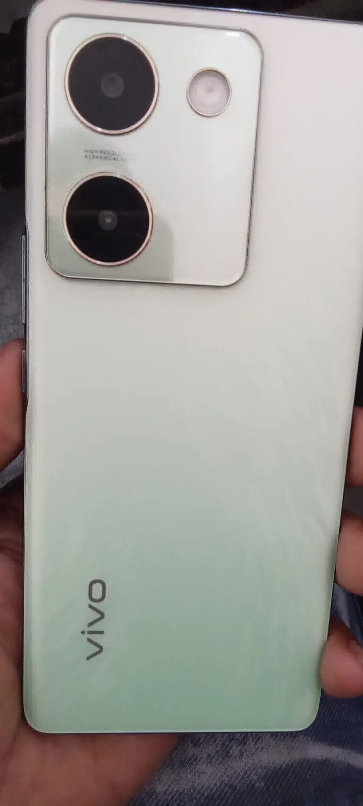 vivo Y300 Plus