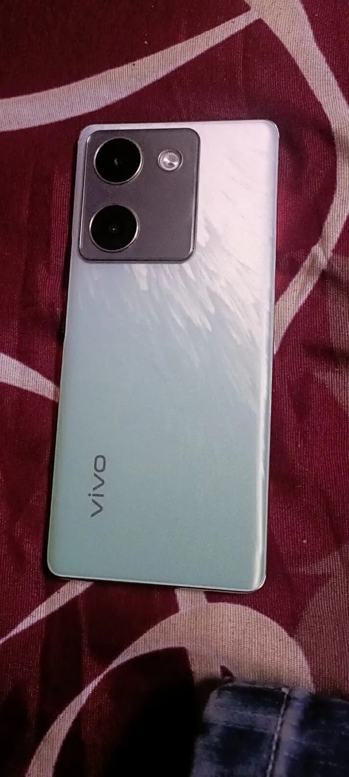 vivo Y300 Plus