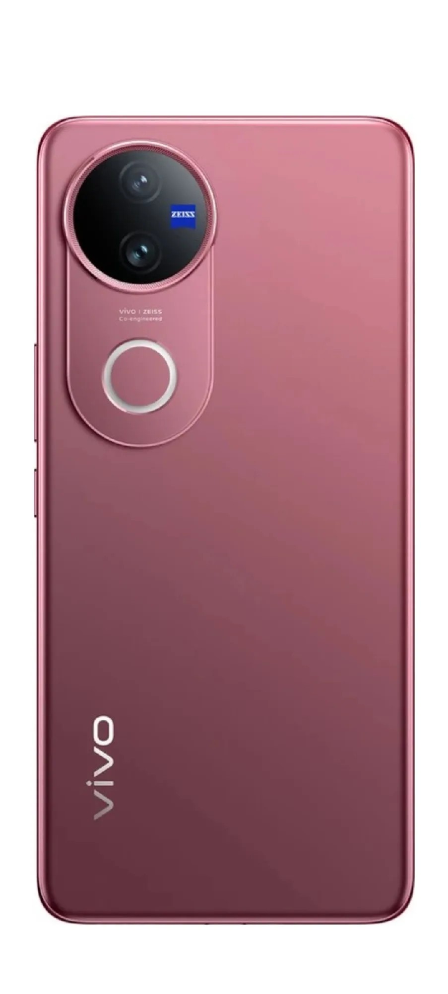 vivo V50