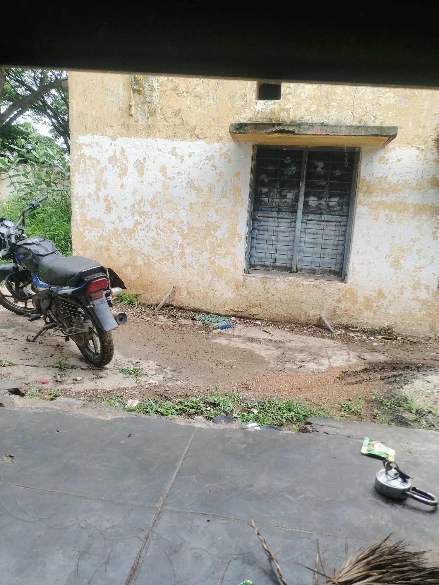 vivo iQOO Z3