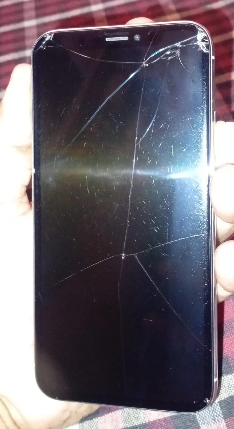 Apple iPhone X