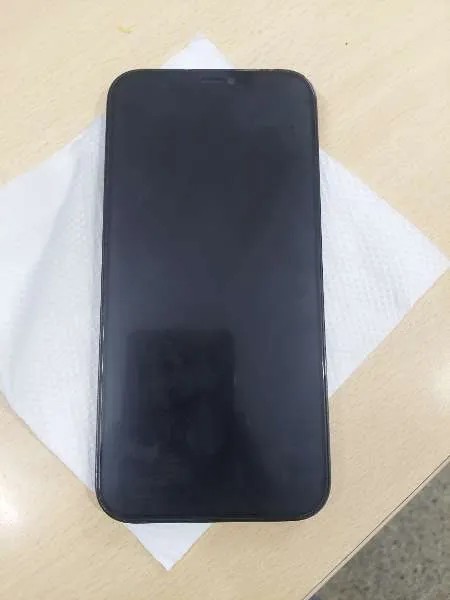 Apple iPhone 12 Pro Max