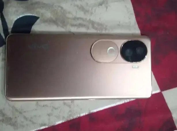 vivo V40e