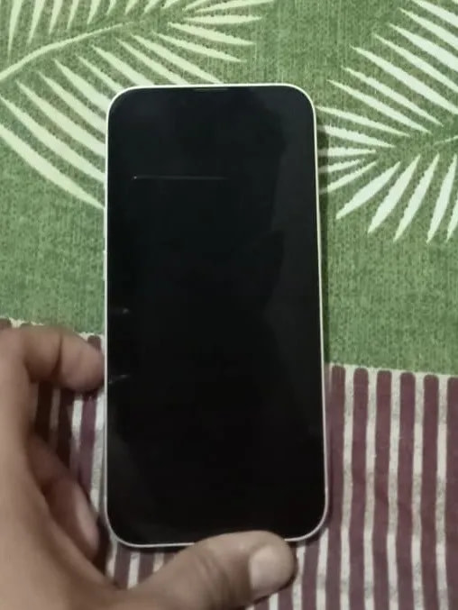 Apple iPhone 13