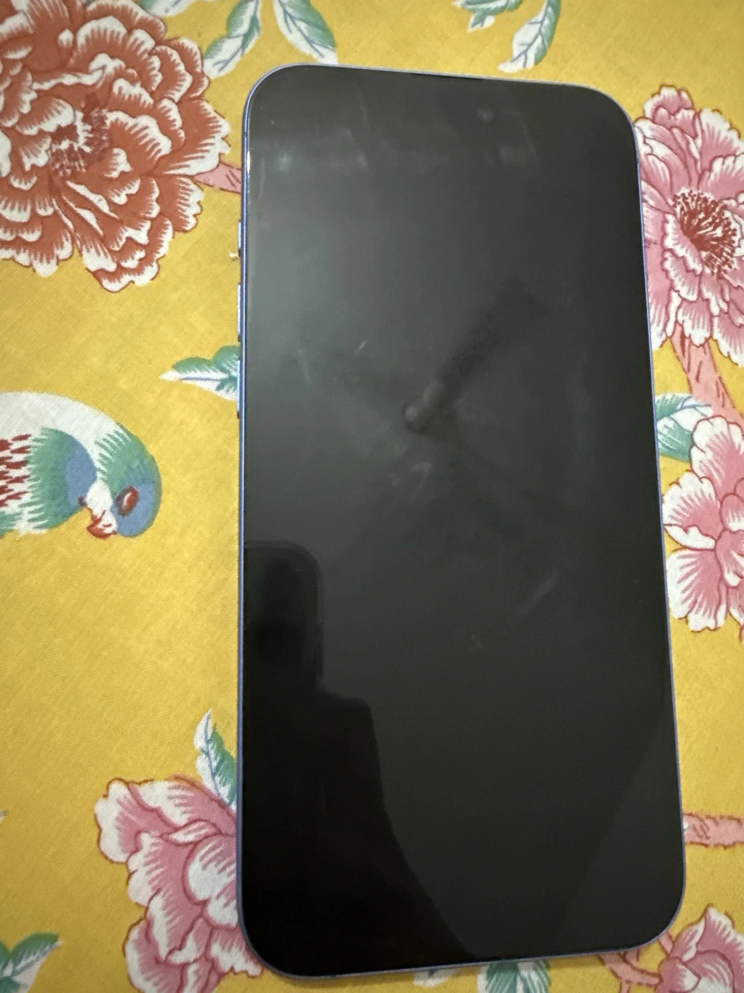 Apple iPhone 16 Plus