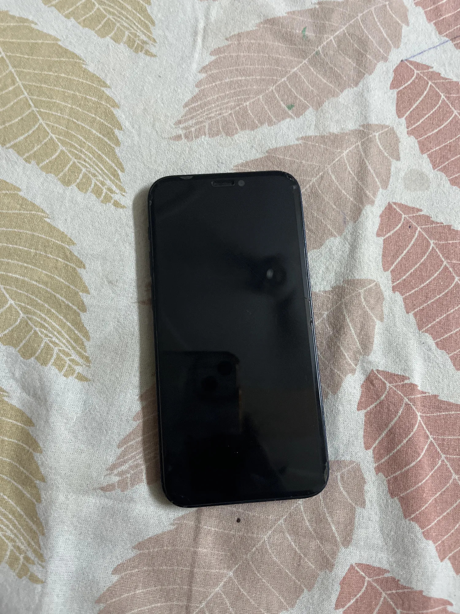 Apple iPhone 12 mini