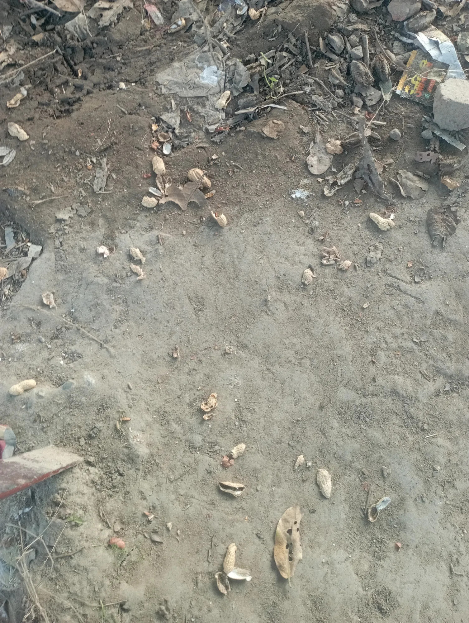 Xiaomi Redmi 10 Prime