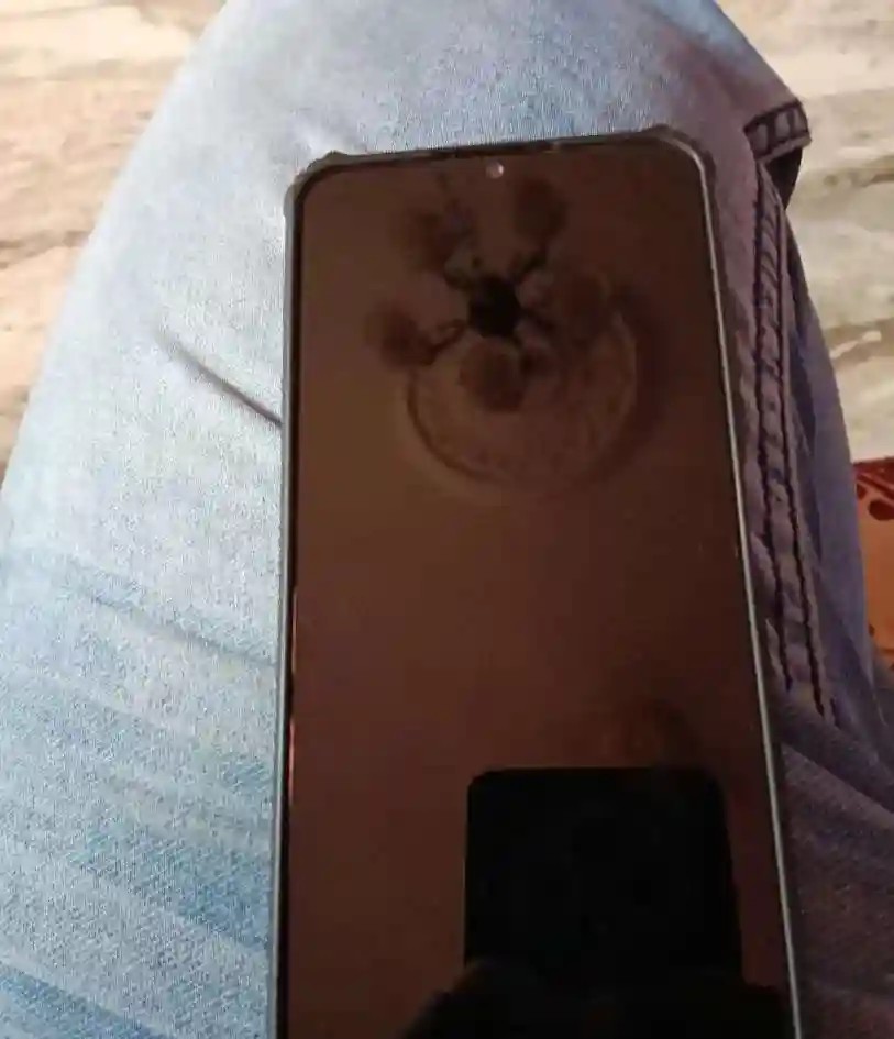 vivo Y31
