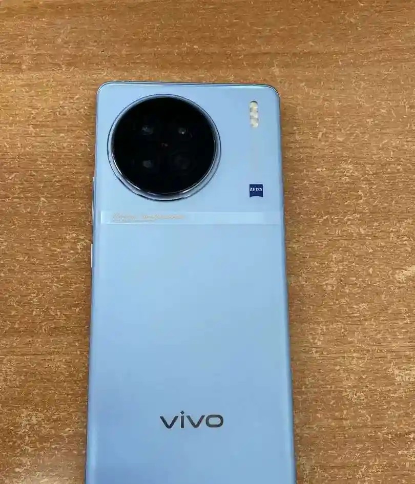 vivo X90