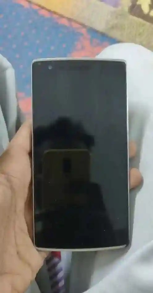 OnePlus One