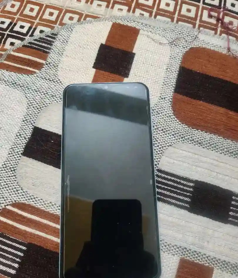 Samsung Galaxy F13