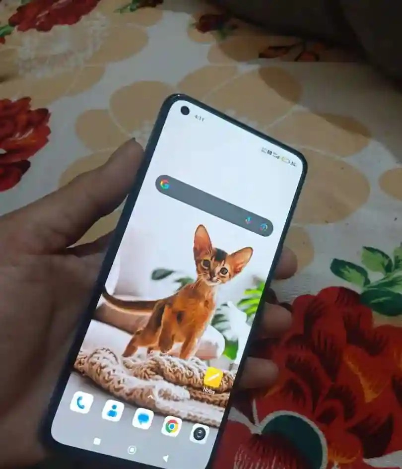 Xiaomi Mi 11 Lite 5G
