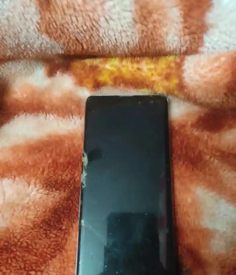 Samsung Galaxy S10+