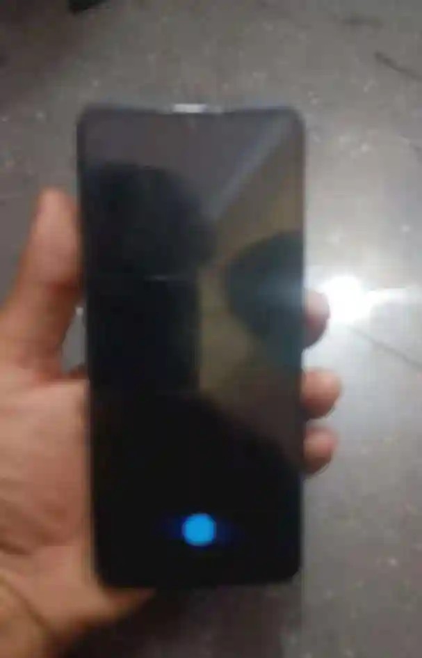 vivo Y73