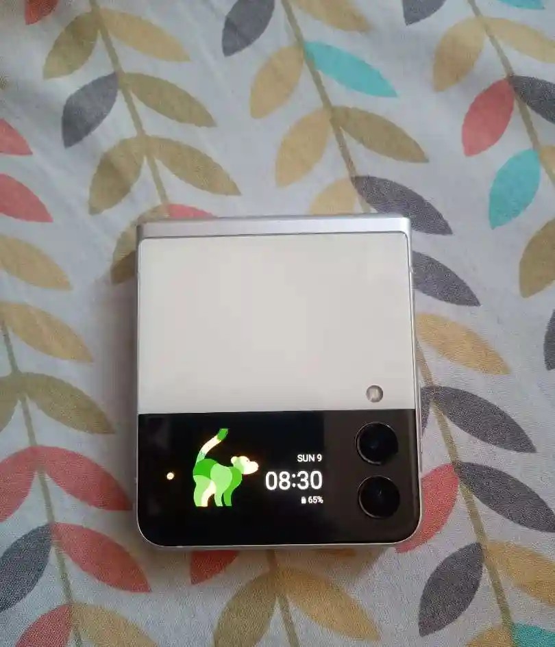 Samsung Galaxy Z Flip