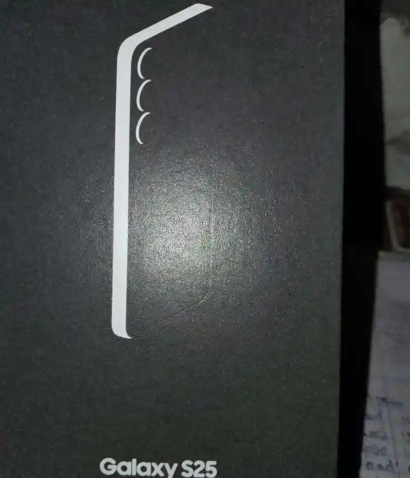 Samsung Galaxy S25