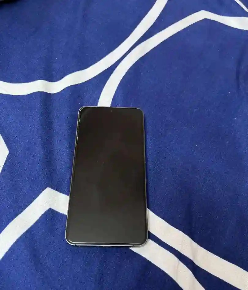 Samsung Galaxy S24