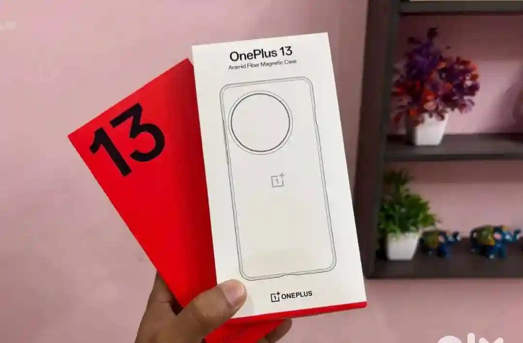 OnePlus 13
