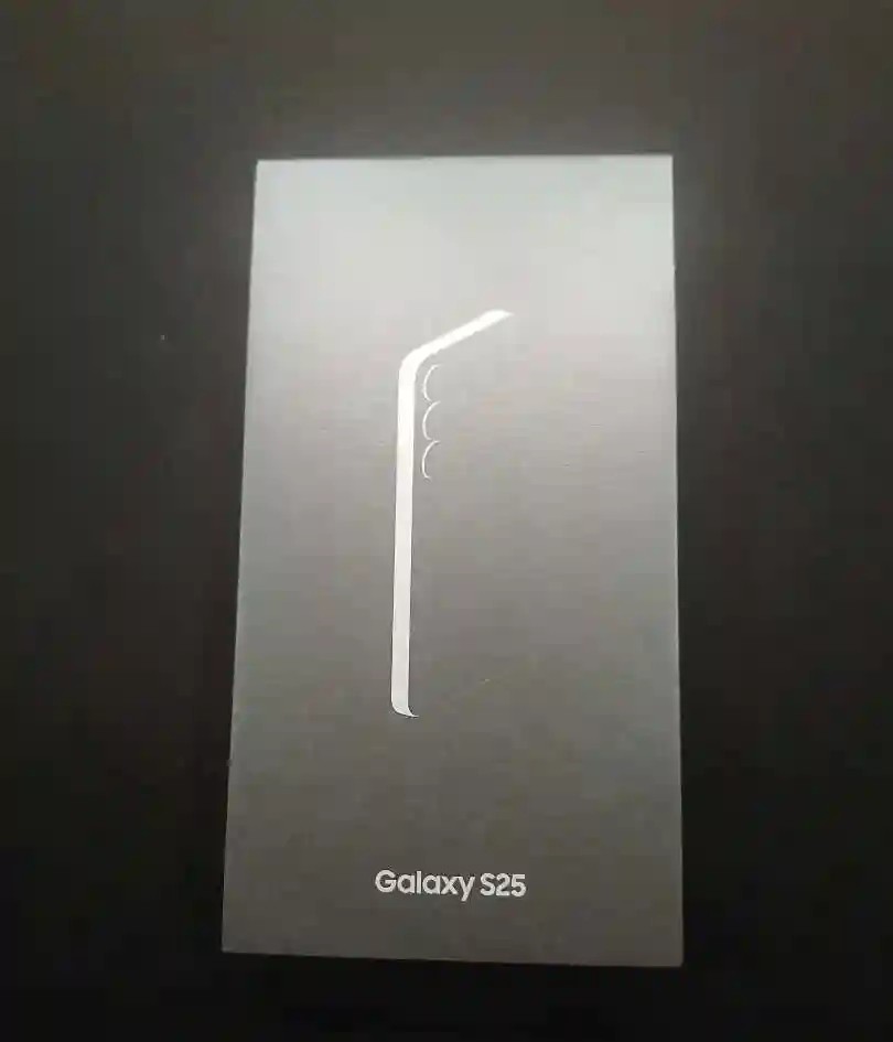 Samsung Galaxy S25