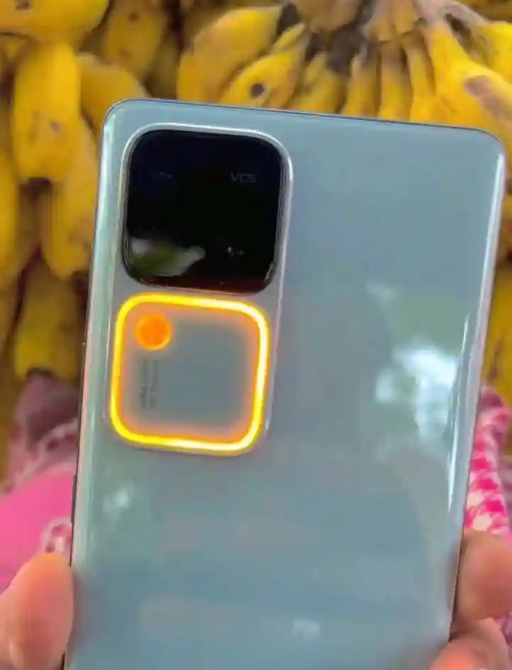 vivo V30