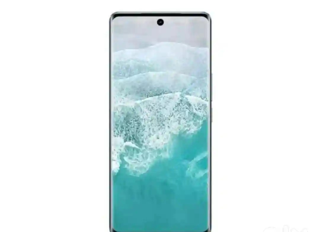 vivo V30