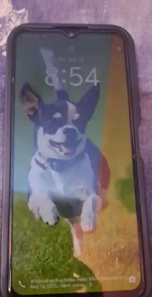vivo Y56